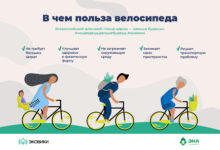 Photo of Экологическая значимость зеленых велосипедов